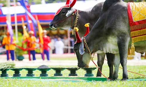 The Royal Ploughing ceremony