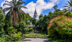 tourist information phnom penh